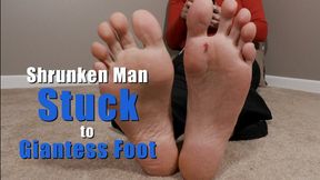 Shrunken Man Stuck to Unaware Giantess Foot - Kylie Jacobsx - WMV 1080p HD