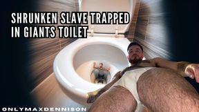 Shrunken slave trapped in giants toilet