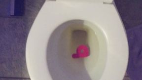 I PEE GOLD IN MY TOILET LETTER P FOR PORN