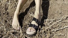 I lost my shoe while walking-9 MOV