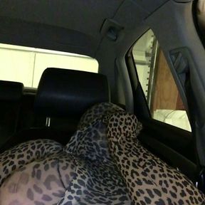 Leopard Encasement in Car