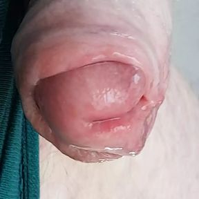 Edging, milking, foreskin play and loads of cum