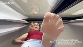 I'm going to stomp on your face with my stinky nylon stockings - Goddess Grazi (MP4-HD1080p)