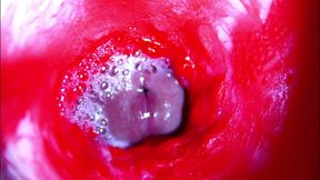 Extreme close-up ASMR head inside wet pussy