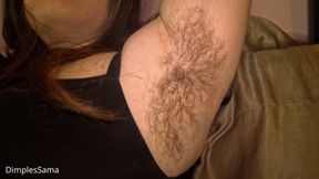 Sniff My Hairy Armpits