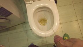 Pissing in Toilet POV