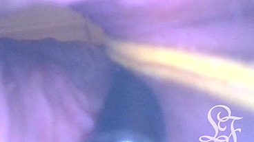 POV: Laying Eggs while You're INSIDE my Ass