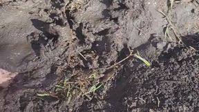 walking barefoot in my muddy garden