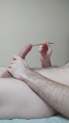 paintbrush urethra sounding