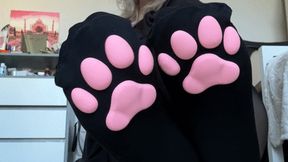 Worship my paws!