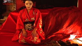 Geisha 1 480p wmv