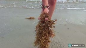 Michelle Honeywell: Sandy Toes