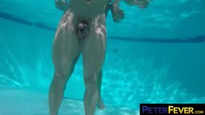 PETERFEVER Bottom David Ace Raw Bred By Top Zario Travezz