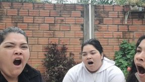At 1, 2, 3 Natural Yawn Contagion