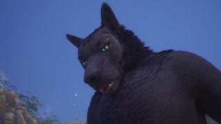 Gay Wolf &amp; Man Make Love by the Beach / Wild Life Furries
