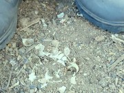 Farm boy crushes crunchy empty shells with his boots - crush spit piss cum