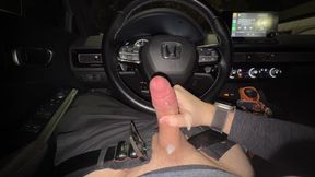 Noisy shrieking and praise *porking in the van* large popshot