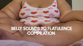 BELLY SOUNDS TO FLATULENCE COMPILATION