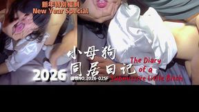 The Diary Of A Submissive Bitchfree Full Version