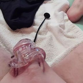 Sounding my cock in chastity and cum on my string