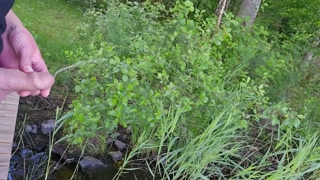 Holding his Dick During Pee and Wetting My Fingers Compilation 3 Videos