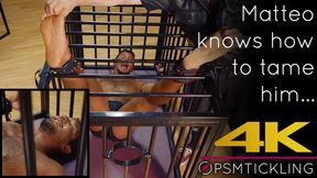 Hunk caged and tickled in the Cabinet 4K
