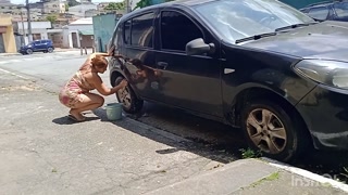 HOT GIRL WASHES HER CAR SHOWING OFF ON THE STREET