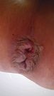 Butt plug male squirt