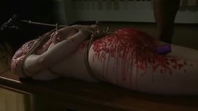 Asian Cutie Surrenders to Lustful Wax Torture