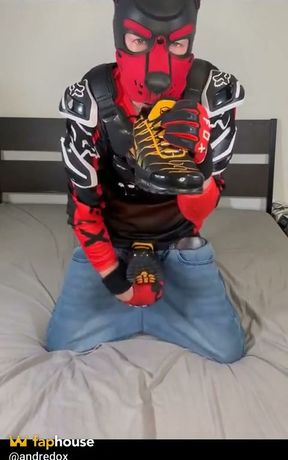 Sneakers Puppy! Nike Tn