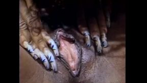 Black Lesbians in Heat Vol.1