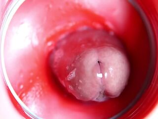 Camera inside the pussy! The wettest and tastiest hole with a big dick inside!