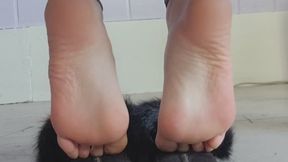 Fuzzy Slipperplay