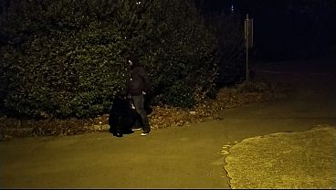 She asked me to stop the car so she could suck me off