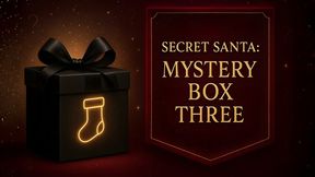 Secret Santa: Mystery Box Three