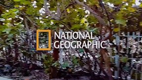 Goon Room Vol.1 Fucking Facetime Throatpies