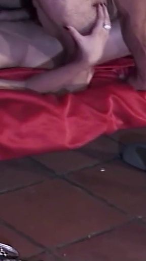 Blonde Big Tit Shemale Gets Anal Fucked by a Prison Guard