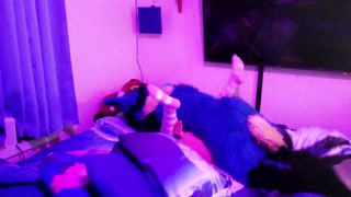 Sucario Pumps Piperthebun with his seed missionary