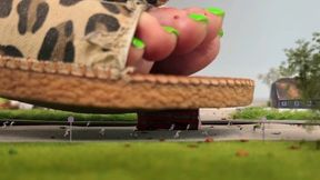 The City of Fair Trade - Part 4 - (4 K)