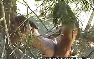 Very honey outdoor trio