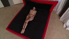 Bound To Fuck 2