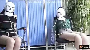 Plastic Surgery Trilogy