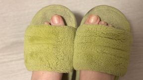 My Toes & Old Dirty Slippers (Soft Talk, Close-Up)