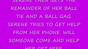 SERENE ISLEY SECRETARY COMES HOME TO BONDAGE LAST PART