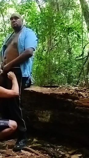 Passenger Caught the Bus Driver in the Woods