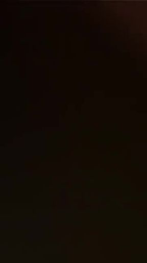 Cathy Heaven and Megan Coxxx Are Late Night Anal Whores