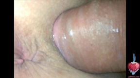 Closeup Compilation of Fucking My GF Doggystyle Phone Filmed