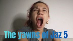 The yawns of Jaz 5