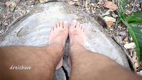 feet in cut trunk