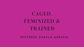 Caged Feminized and Trained